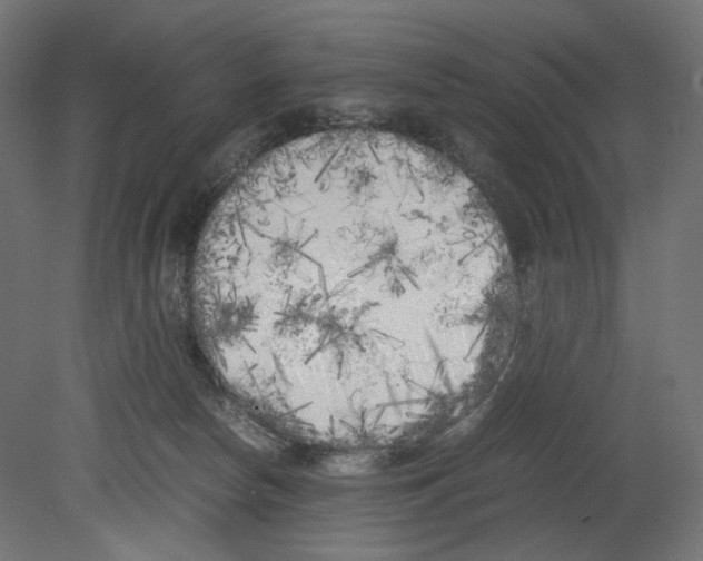 X0000080700178200701121801