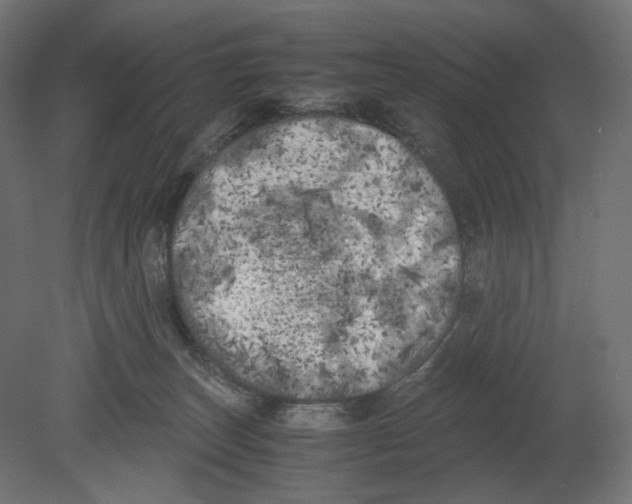 X0000080700179200701121801