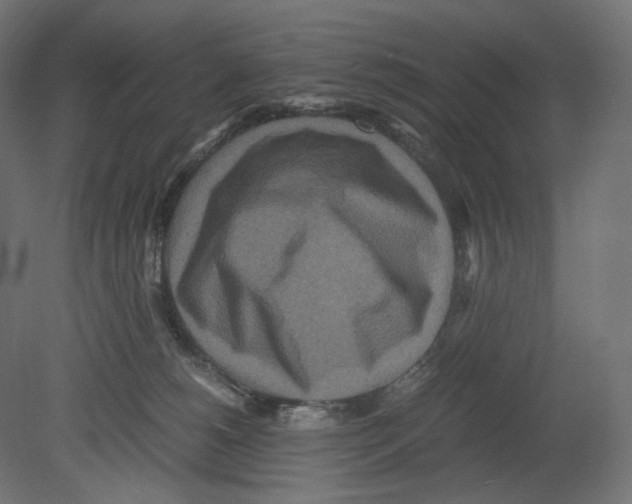 X0000080700180200701121801