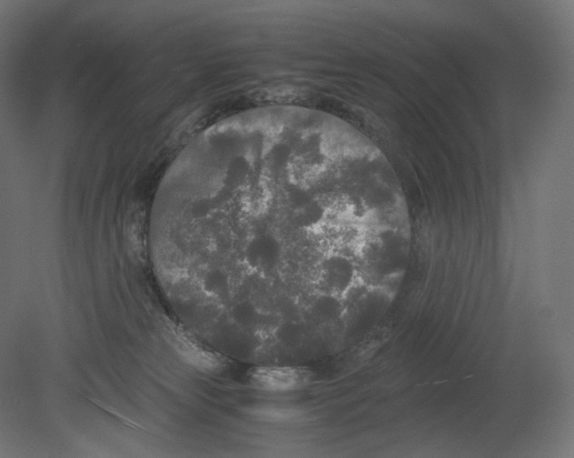 X0000080700181200701121801