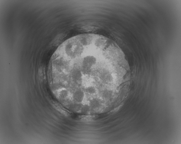 X0000080700182200701121801