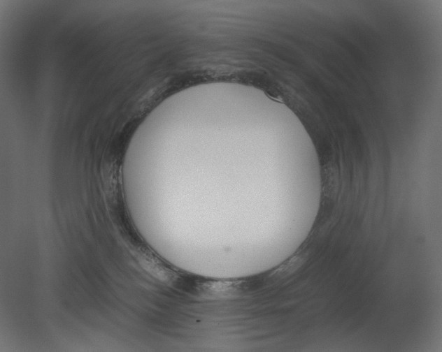 X0000080700184200701121801