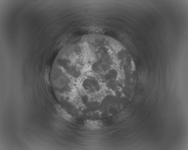 X0000080700185200701121801