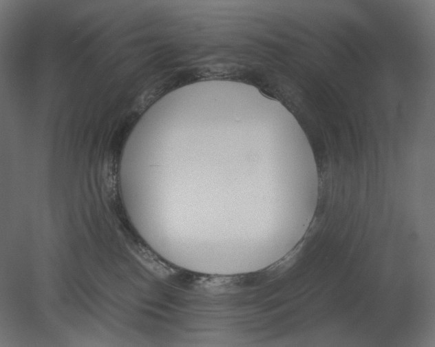 X0000080700186200701121801