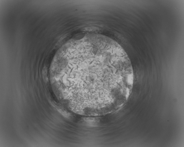 X0000080700187200701121801