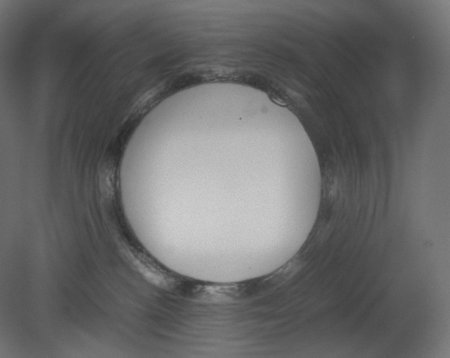 X0000080700188200701121801