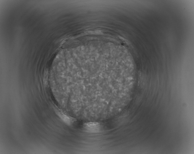 X0000080700189200701121801