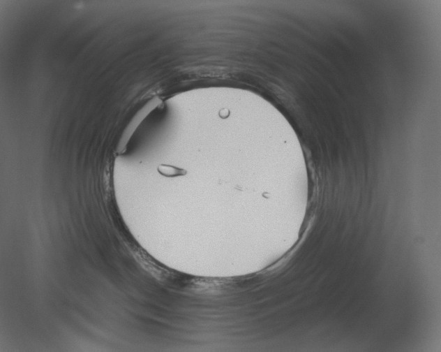 X0000080700190200701121801