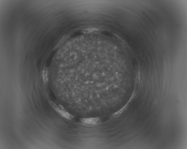 X0000080700191200701121801