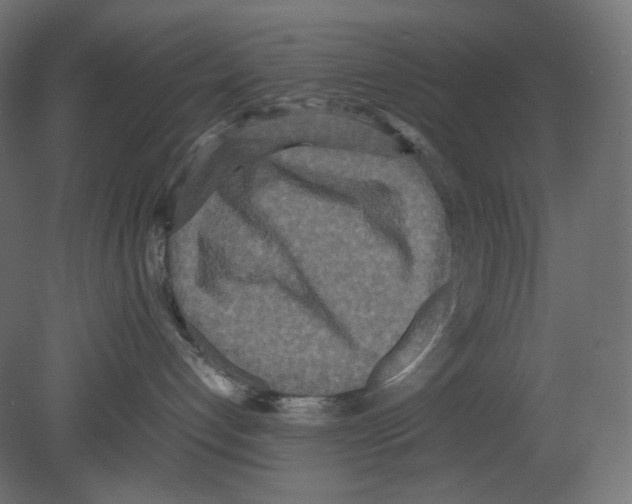 X0000080700192200701121801