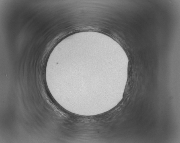 X0000080700193200701121800