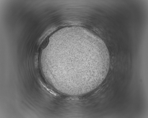 X0000080700194200701121800