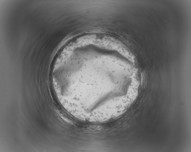 X0000080700195200701121800