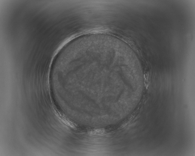 X0000080700196200701121800