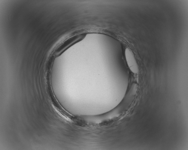 X0000080700197200701121800