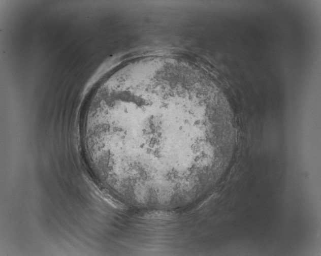 X0000080700198200701121800