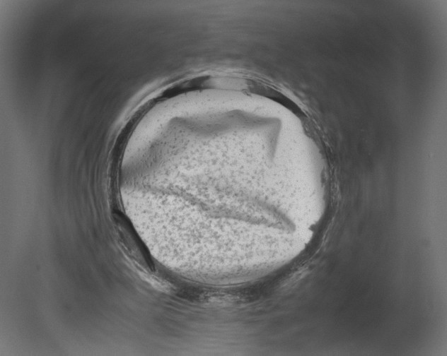 X0000080700199200701121800