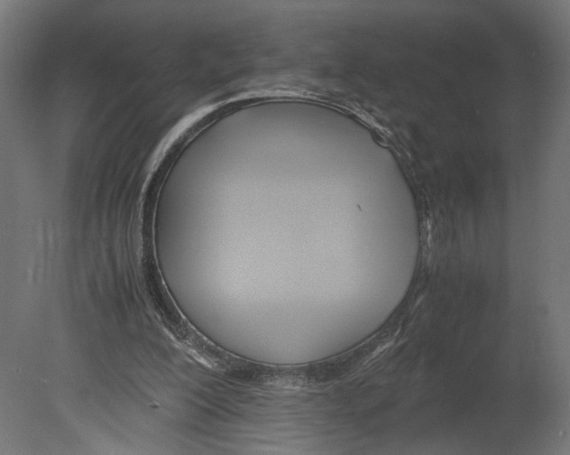 X0000080700200200701121800