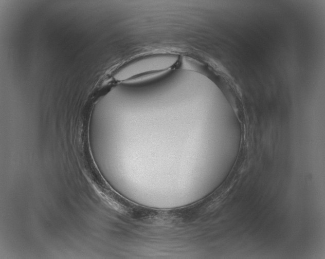 X0000080700201200701121800