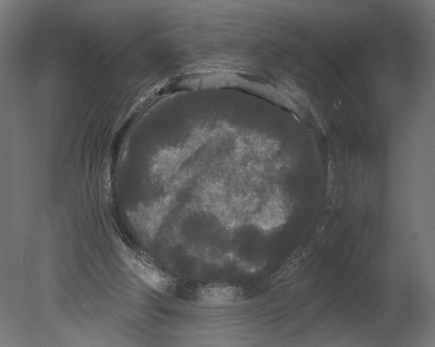 X0000080700202200701121800