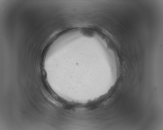 X0000080700203200701121800