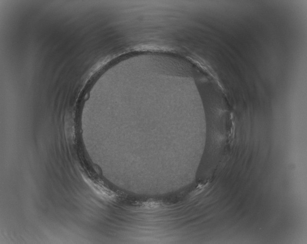 X0000080700204200701121800