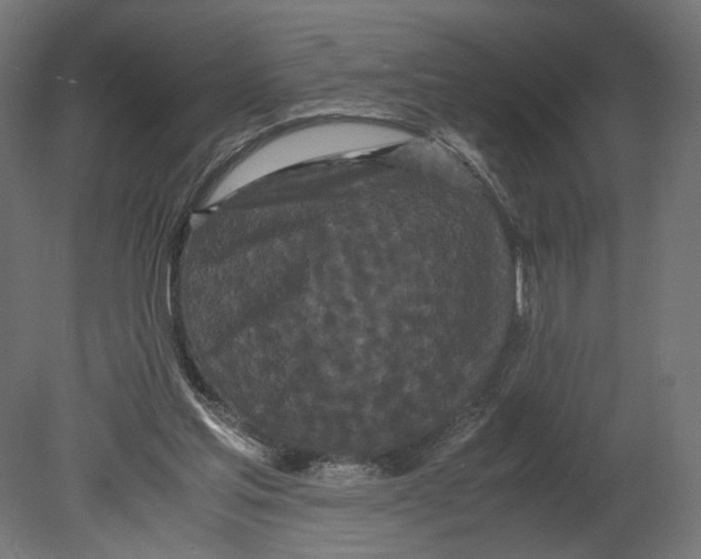 X0000080700205200701121800