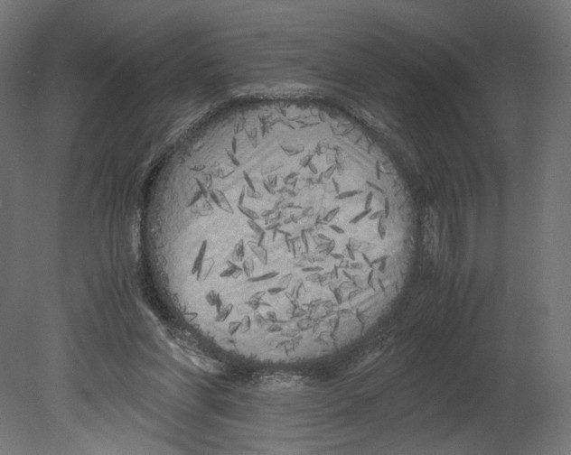 X0000080700206200701121800