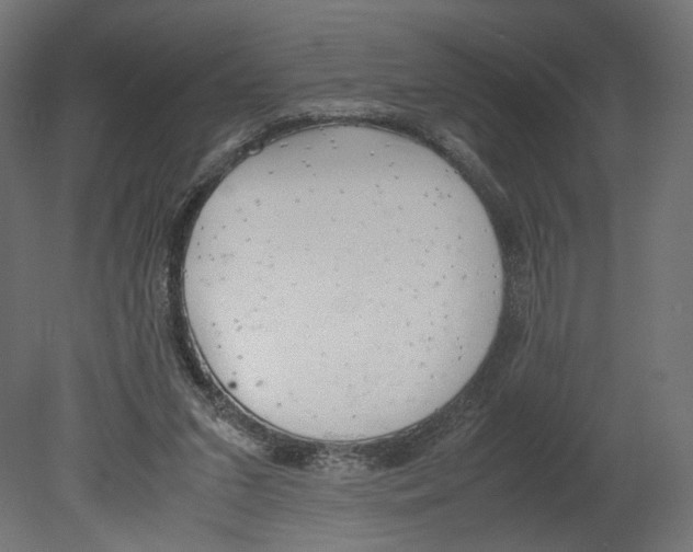 X0000080700207200701121800