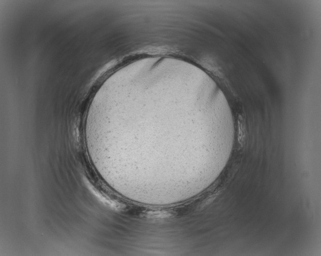 X0000080700208200701121800