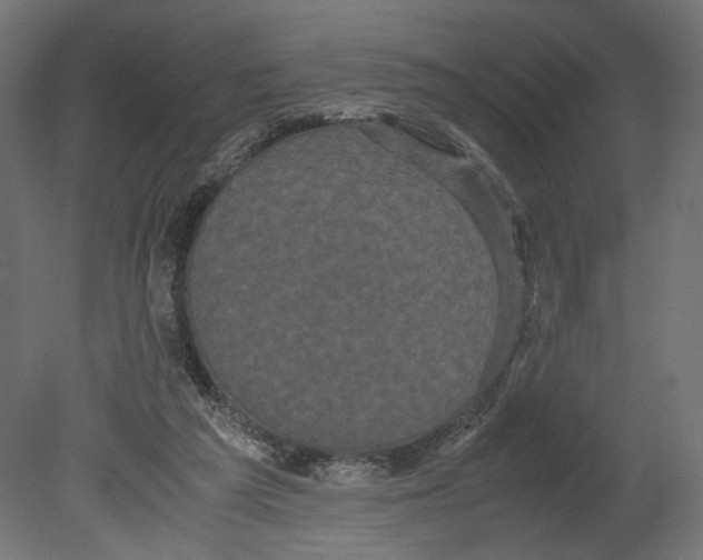 X0000080700209200701121800