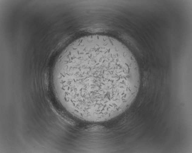 X0000080700210200701121800