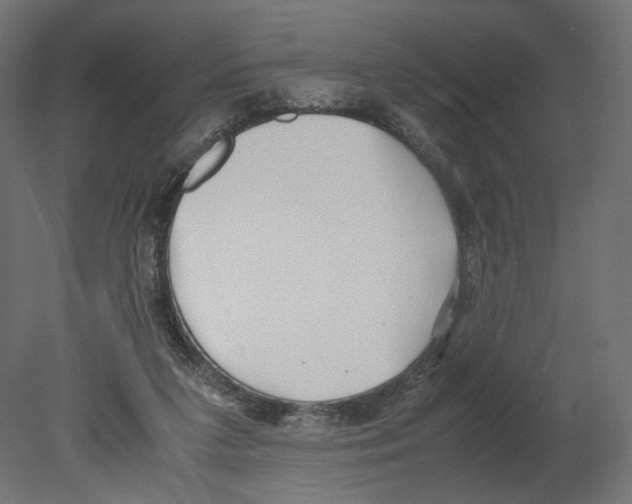 X0000080700211200701121800