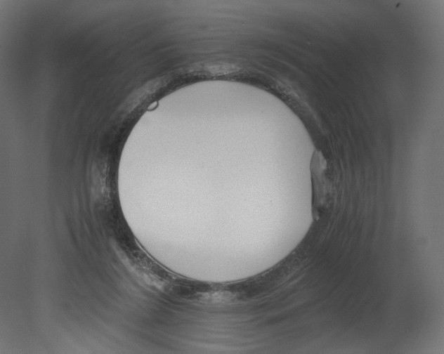 X0000080700212200701121800