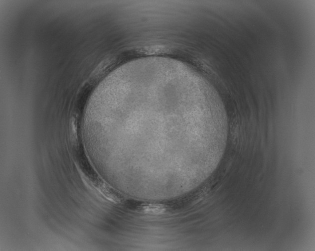 X0000080700214200701121800