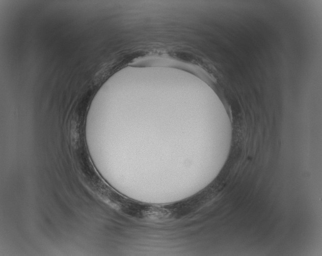 X0000080700215200701121800