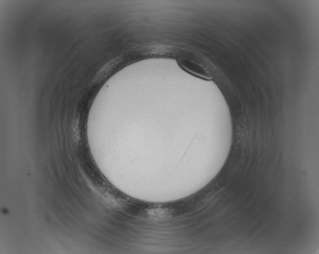 X0000080700216200701121800