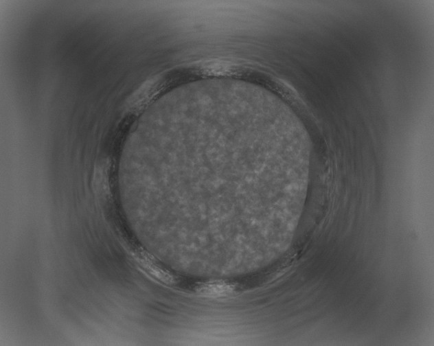 X0000080700217200701121800