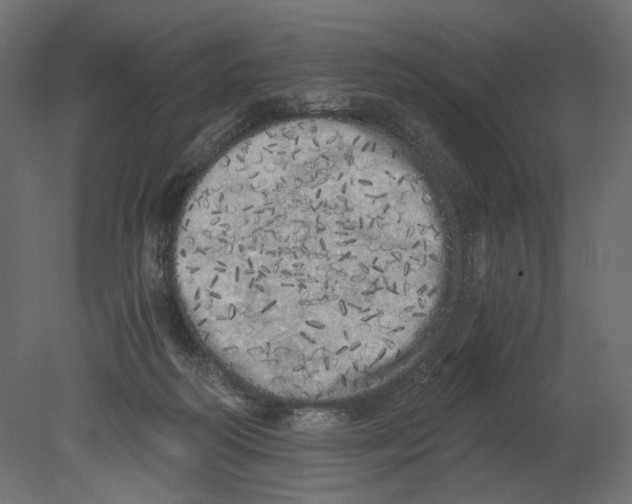 X0000080700218200701121800