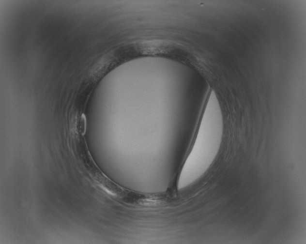 X0000080700219200701121800