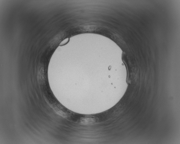 X0000080700220200701121800