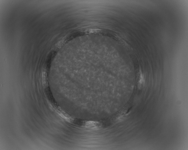 X0000080700222200701121800