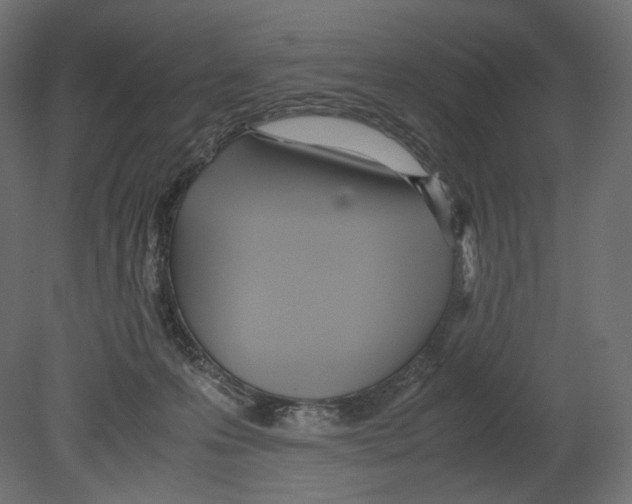 X0000080700223200701121800