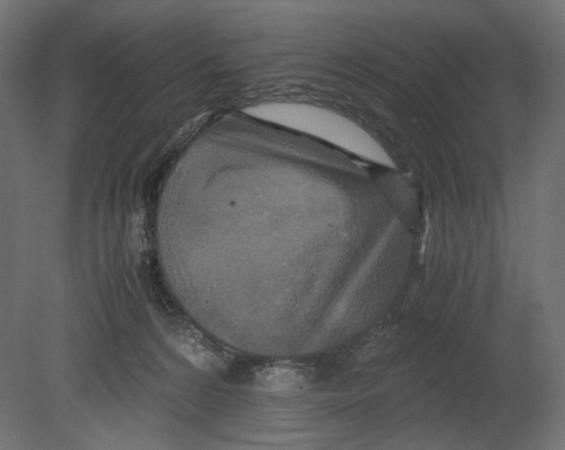 X0000080700224200701121800