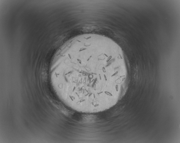 X0000080700226200701121759