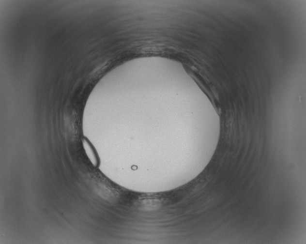 X0000080700228200701121759