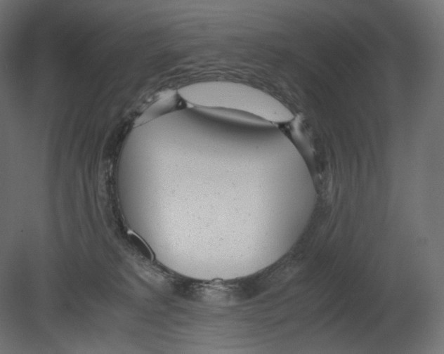 X0000080700229200701121759