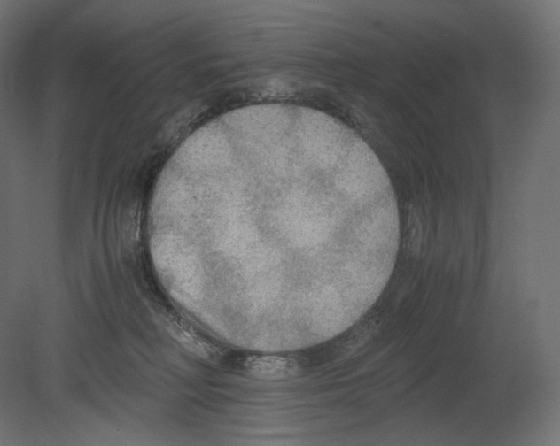 X0000080700230200701121759