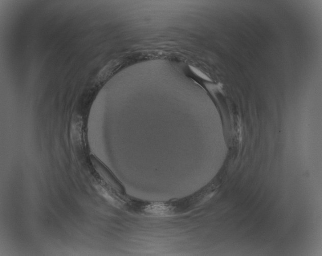 X0000080700231200701121759