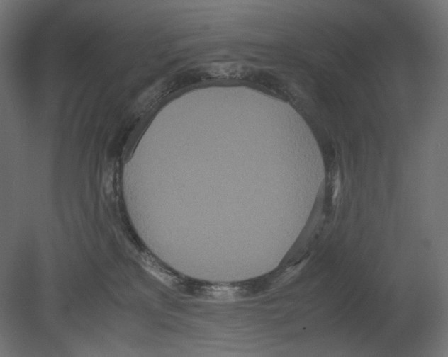 X0000080700233200701121759